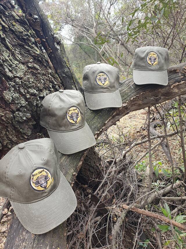 Four Bos-Japie buffalo caps resting on a fallen tree in the bush